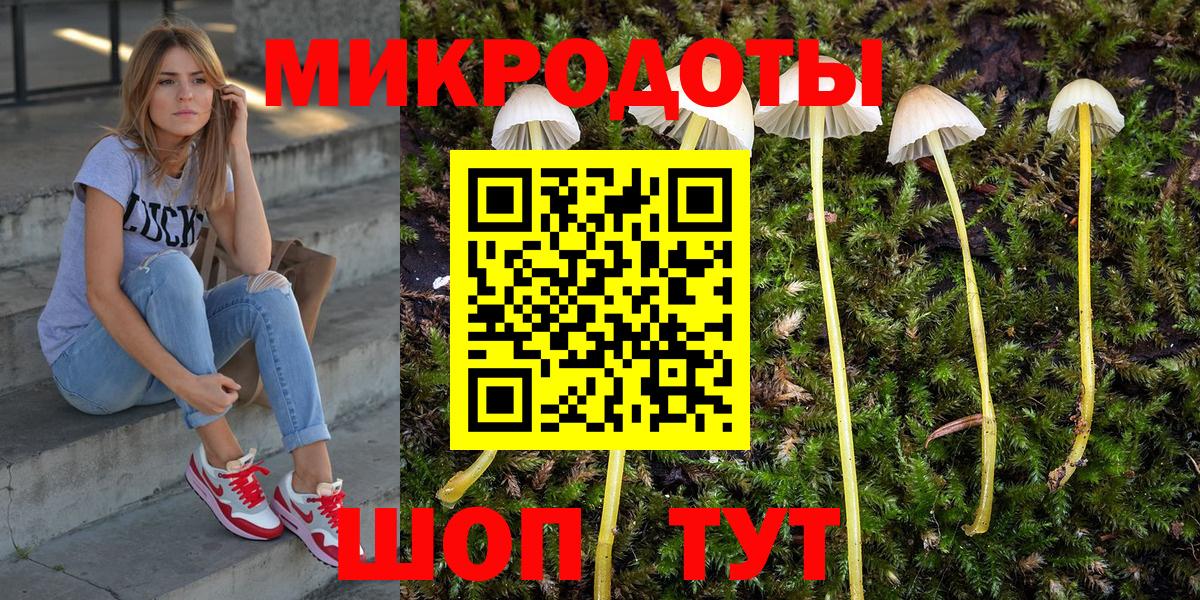Псилоцибиновые грибы Psilocybe Новоуральск