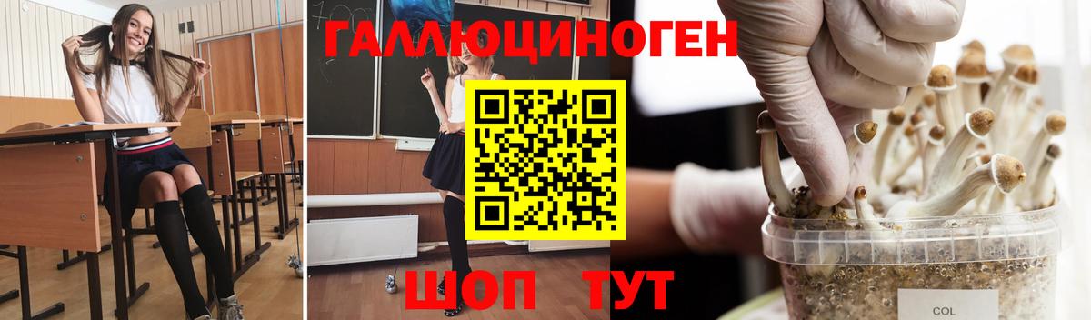 где купить наркоту  Вход с VPN  Новоуральск  Псилоцибиновые грибы Cubensis 